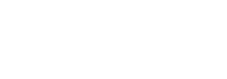 Bún Viet